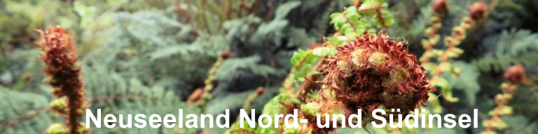 Neuseeland Nord- und Südinsel